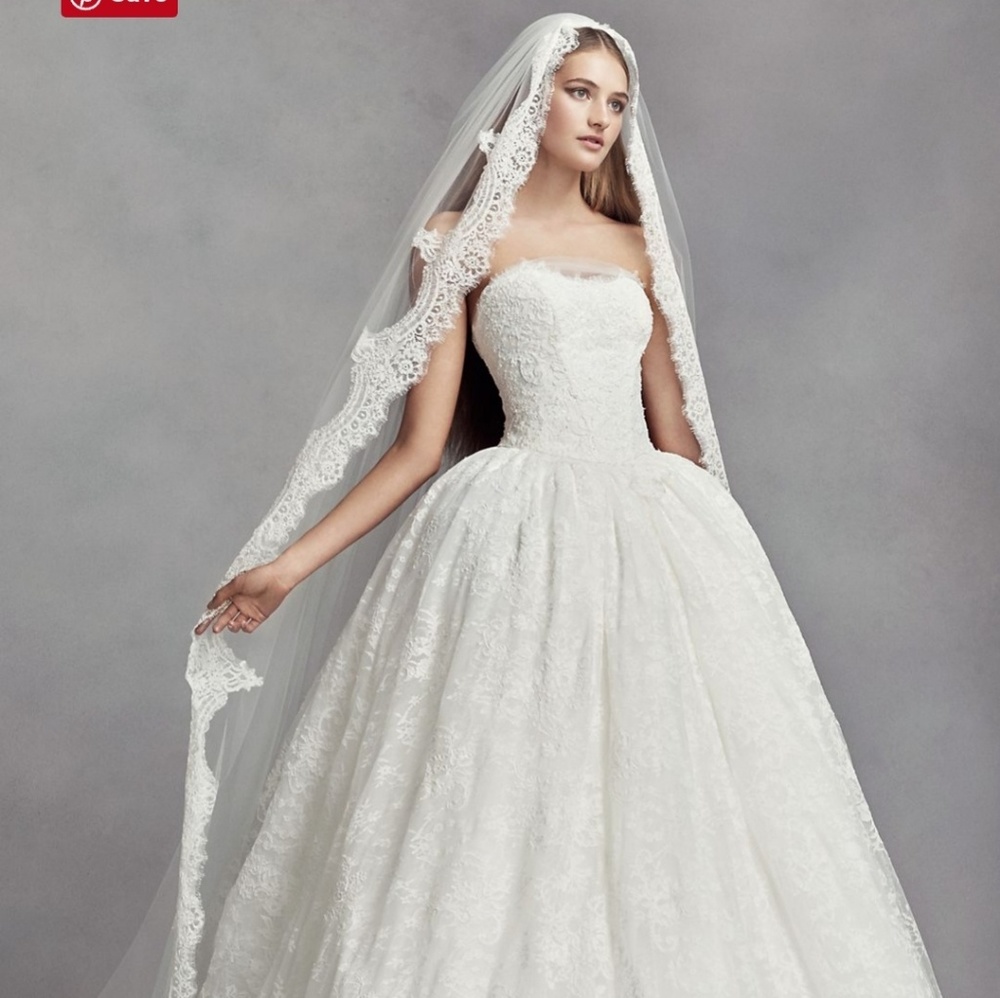 New without tags Vera Wang Cathedral Veil